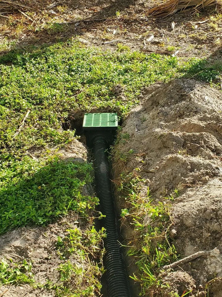 Expert yard maintenance in Riviera Beach, FL - Rylies Landscape & Design