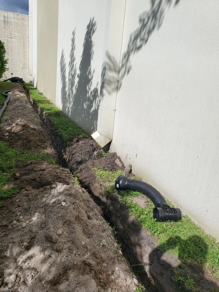 Expert yard cleanup service for beautiful yards in Riviera Beach, FL by Rylies Landscape & Design