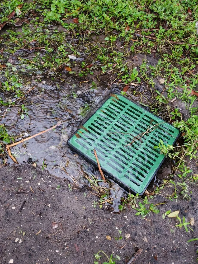 Affordable lawn mowing service near you across Riviera Beach, FL - Rylies Landscape & Design