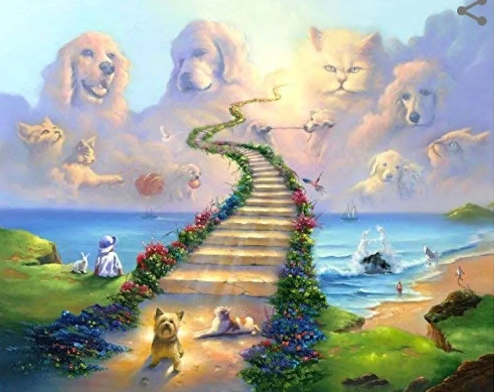 Trusted landscaping services in Riviera Beach, FL - Rylies Landscape & Design