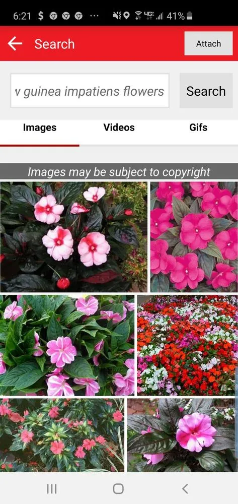 Expert yard cleanup service in Riviera Beach, FL - Rylies Landscape & Design