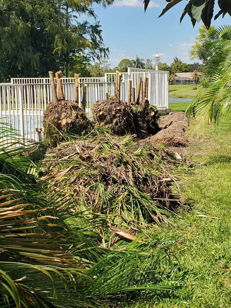 Expert landscape installation in Riviera Beach, FL by Rylies Landscape & Design