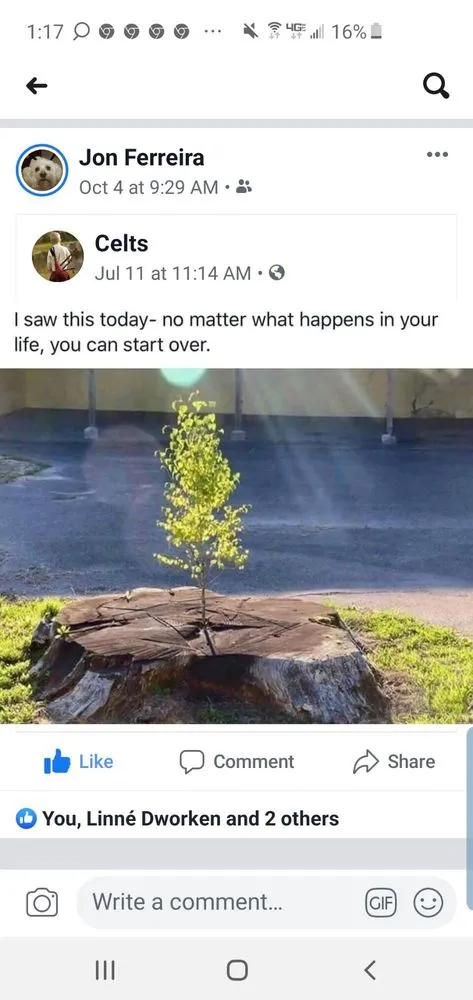 Top-rated landscaping services experts serving Riviera Beach, FL - Rylies Landscape & Design