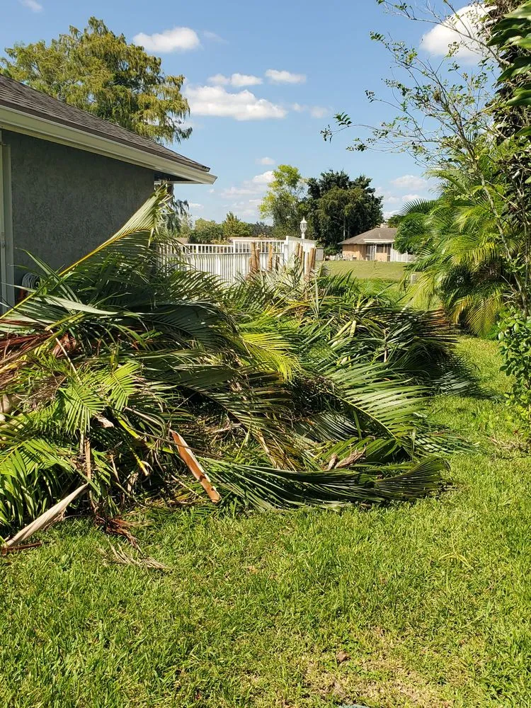 Trusted yard maintenance for year-round maintenance across Riviera Beach, FL - Rylies Landscape & Design