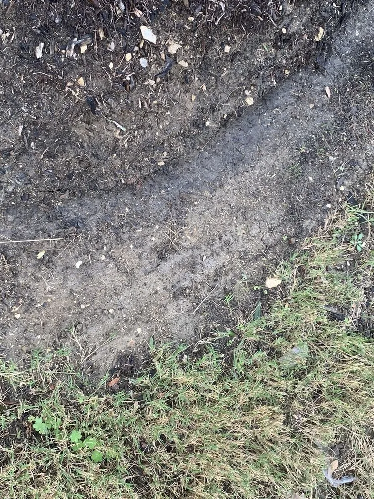 Reliable yard cleanup service for residential properties across Frisco, TX - Ryno Lawn Care