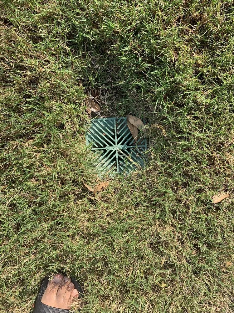 Reliable yard cleanup service in Frisco, TX by Ryno Lawn Care