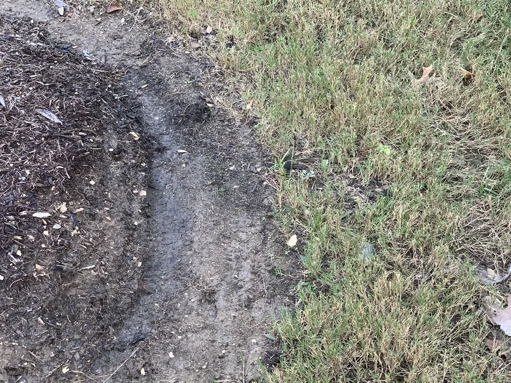 Affordable lawn mowing service in Frisco, TX - Ryno Lawn Care