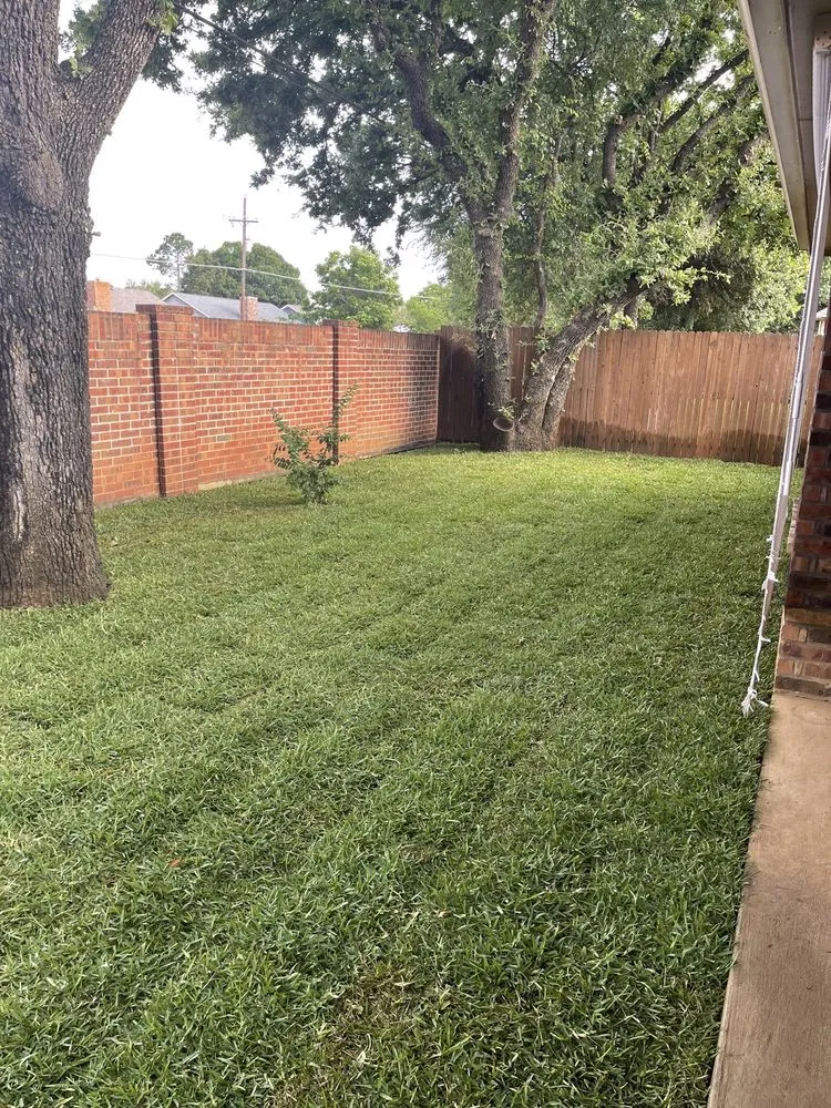 Local yard maintenance in Lewisville, TX by Ryno Lawn Care