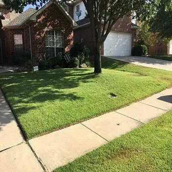 Affordable yard cleanup service near you in Lewisville, TX by Ryno Lawn Care
