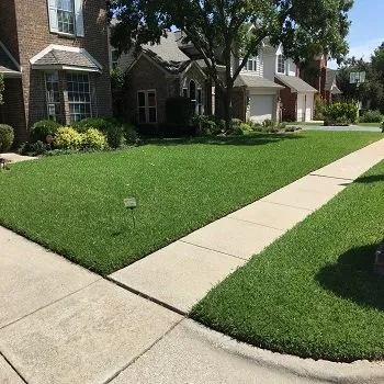 Affordable lawn care service experts serving Lewisville, TX - Ryno Lawn Care