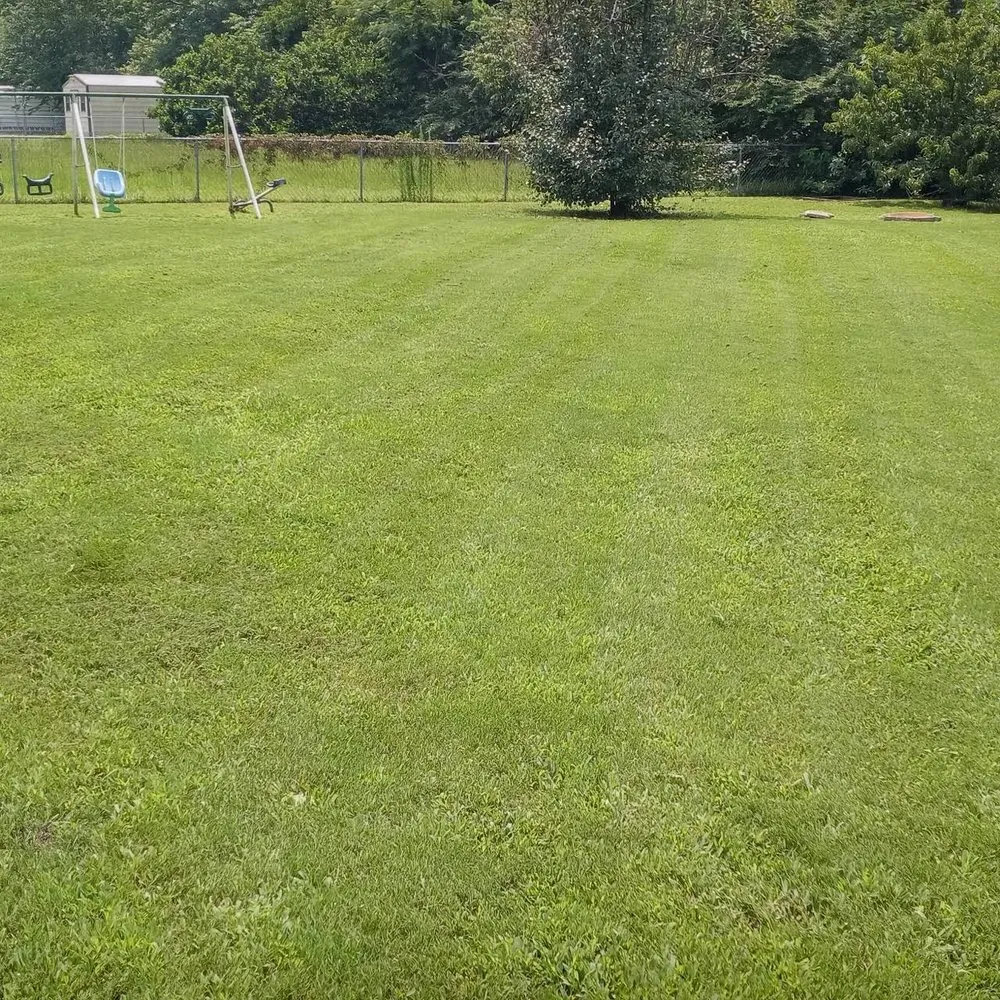 Affordable lawn mowing service experts serving Raeford, NC - Ryno's Lawn, Landscape, and Handyman Services