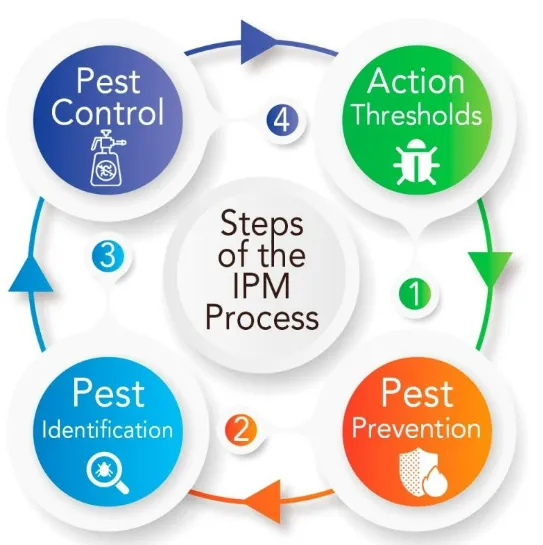 Reliable landscaping services in Ellwood City, PA by Ryno's Pest & Ground Solutions