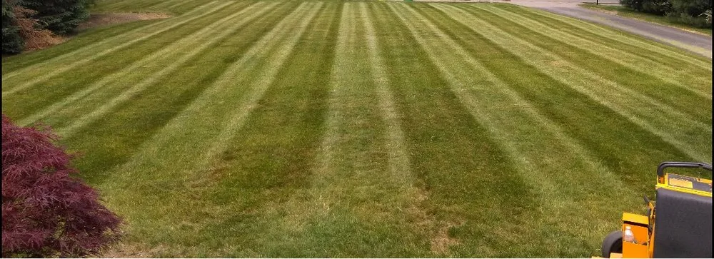 Local yard maintenance experts serving Taunton, MA - Ryse & Shyne Landscape