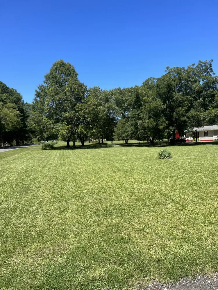 Top-rated yard maintenance near you across York, SC - Ryty Landscaping