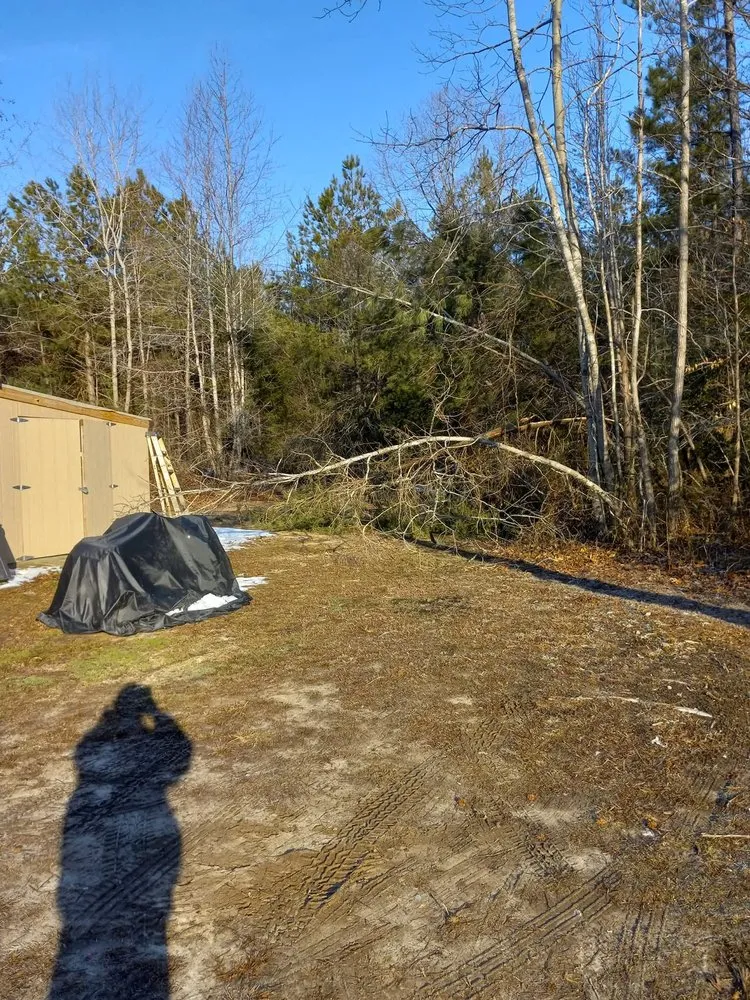 Reliable landscape installation with custom design in Spotsylvania Courthouse, VA by Ryze Above