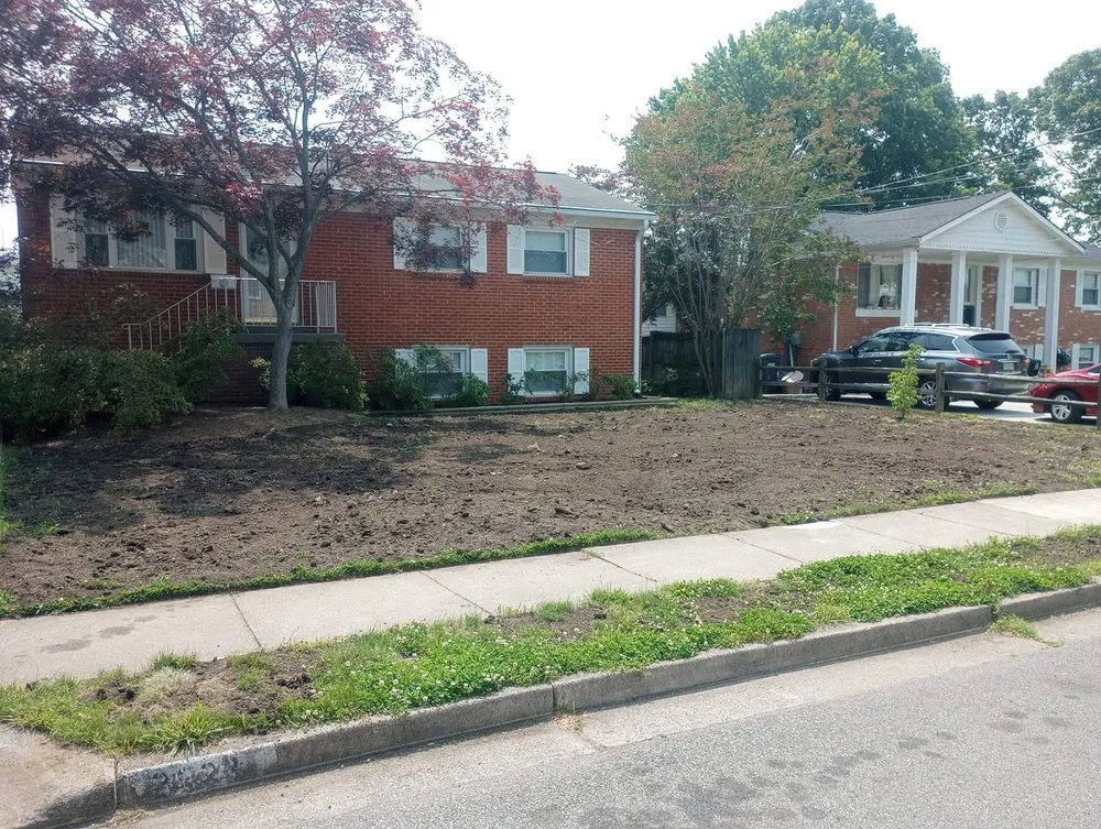 Top-rated yard cleanup service in Spotsylvania Courthouse, VA - Ryze Above