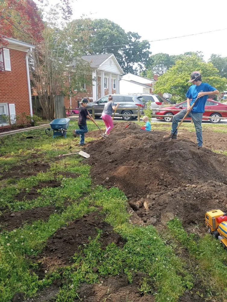 Expert yard cleanup service in Spotsylvania Courthouse, VA by Ryze Above