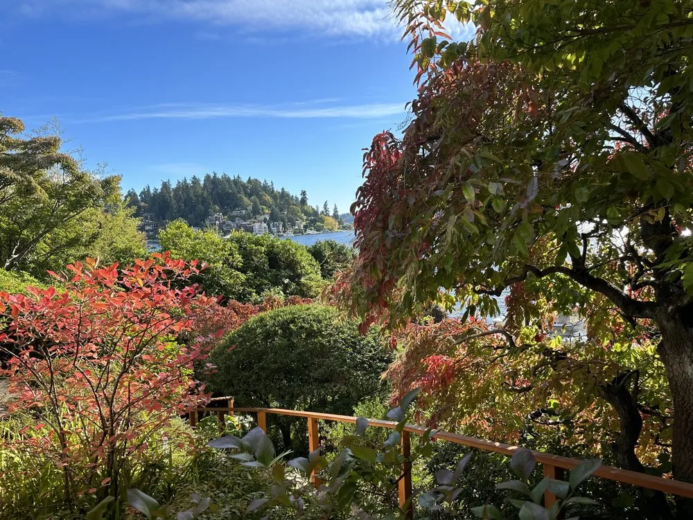 Trusted landscaping services for year-round maintenance in Seattle, WA by Ryznar Landscaping