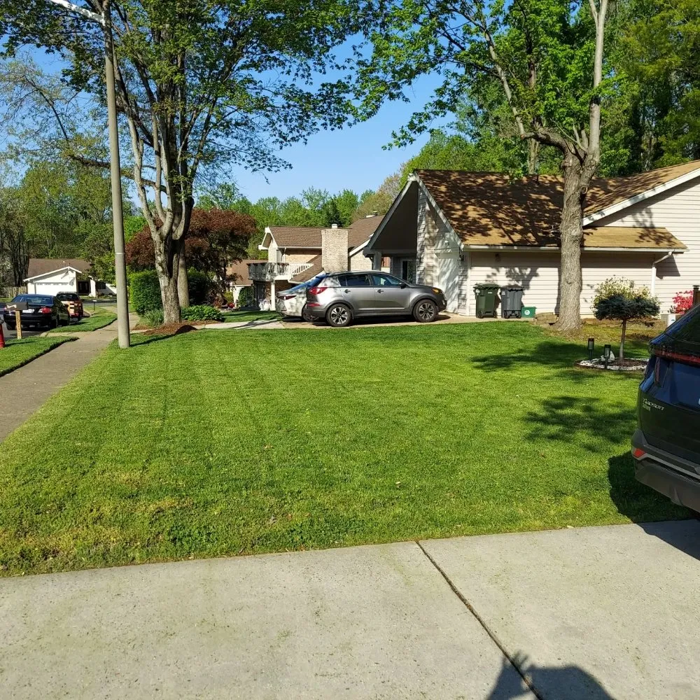 Professional yard cleanup service for homes across Alexandria, VA - RZ & P Landscaping