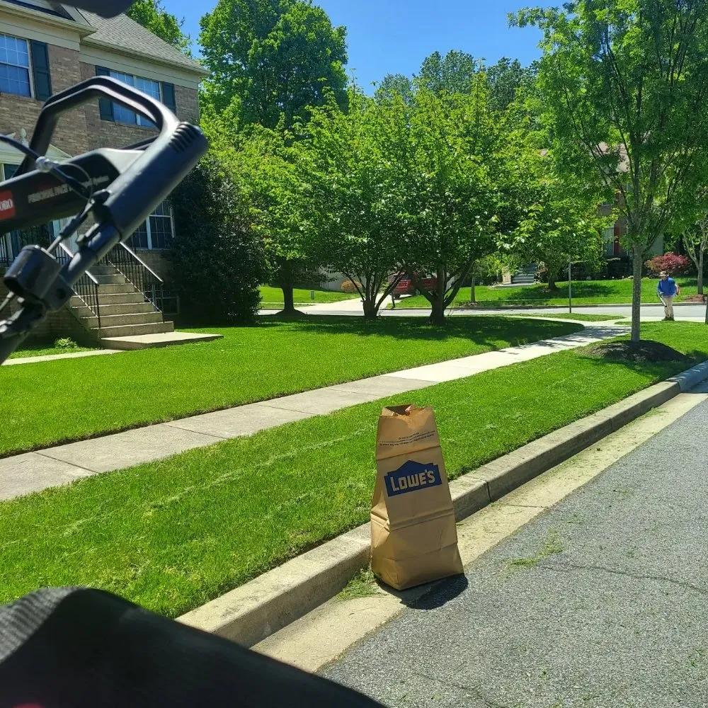 Custom yard maintenance in Alexandria, VA by RZ & P Landscaping