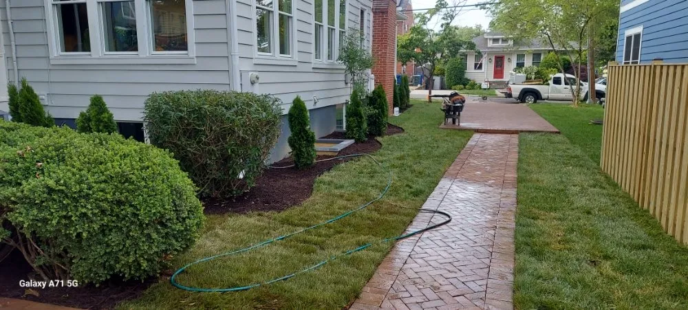 Custom yard cleanup service in Alexandria, VA - RZ & P Landscaping