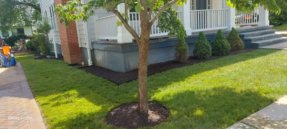 Custom outdoor landscaping for homes across Alexandria, VA - RZ & P Landscaping