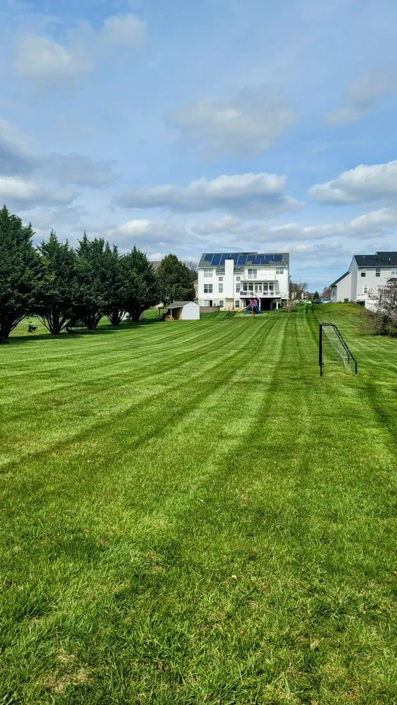 Affordable outdoor landscaping experts serving Newark, DE - Rz Landscape Services