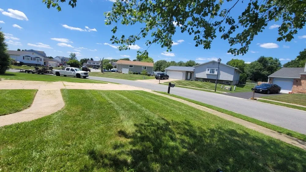 Local yard cleanup service in Newark, DE by Rz Landscape Services