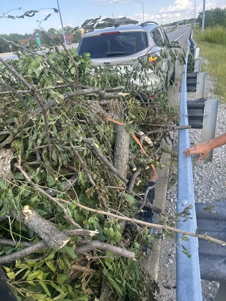 Reliable landscaping services experts serving Independence, MO - RZ Services