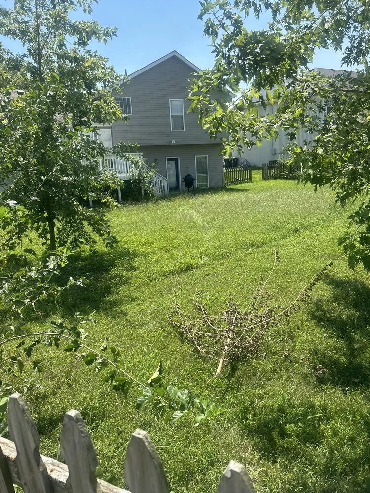 Reliable lawn mowing service in Independence, MO - RZ Services