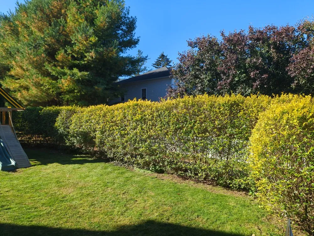 Top-rated landscape installation with custom design in Guilford, CT by RZJ'S Handyman Services