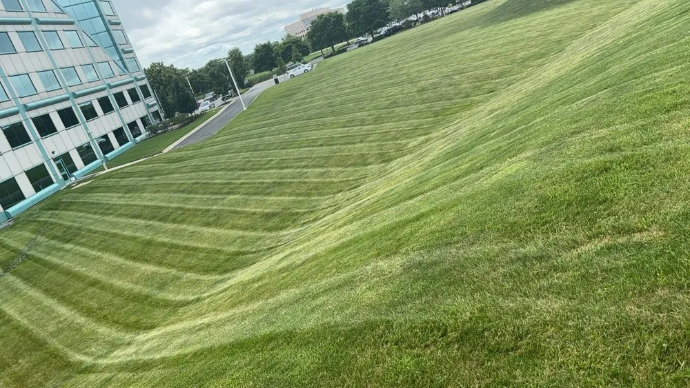 Top-rated lawn care service in Aurora, IL by S & A Landscaping