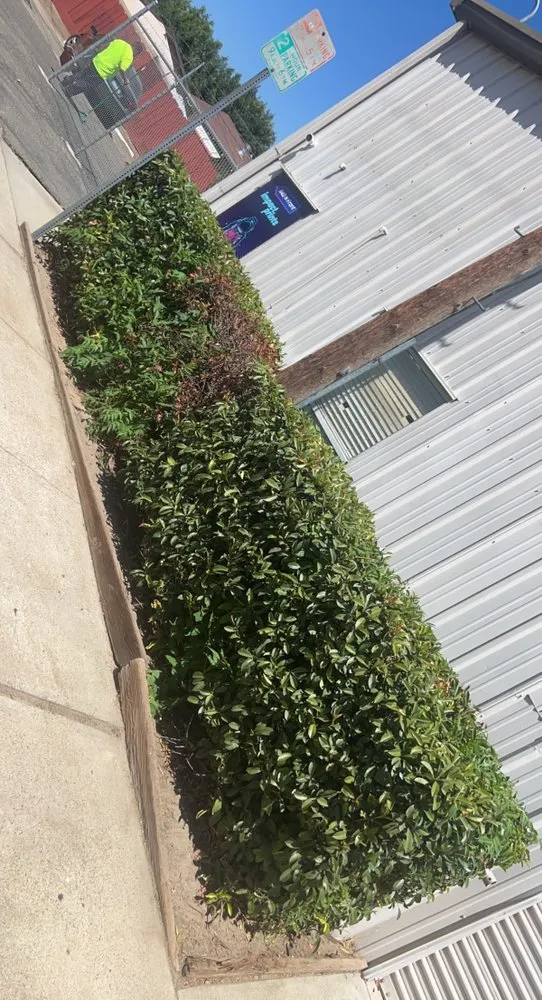 Affordable yard maintenance in Turlock, CA - S & A Lawn Service