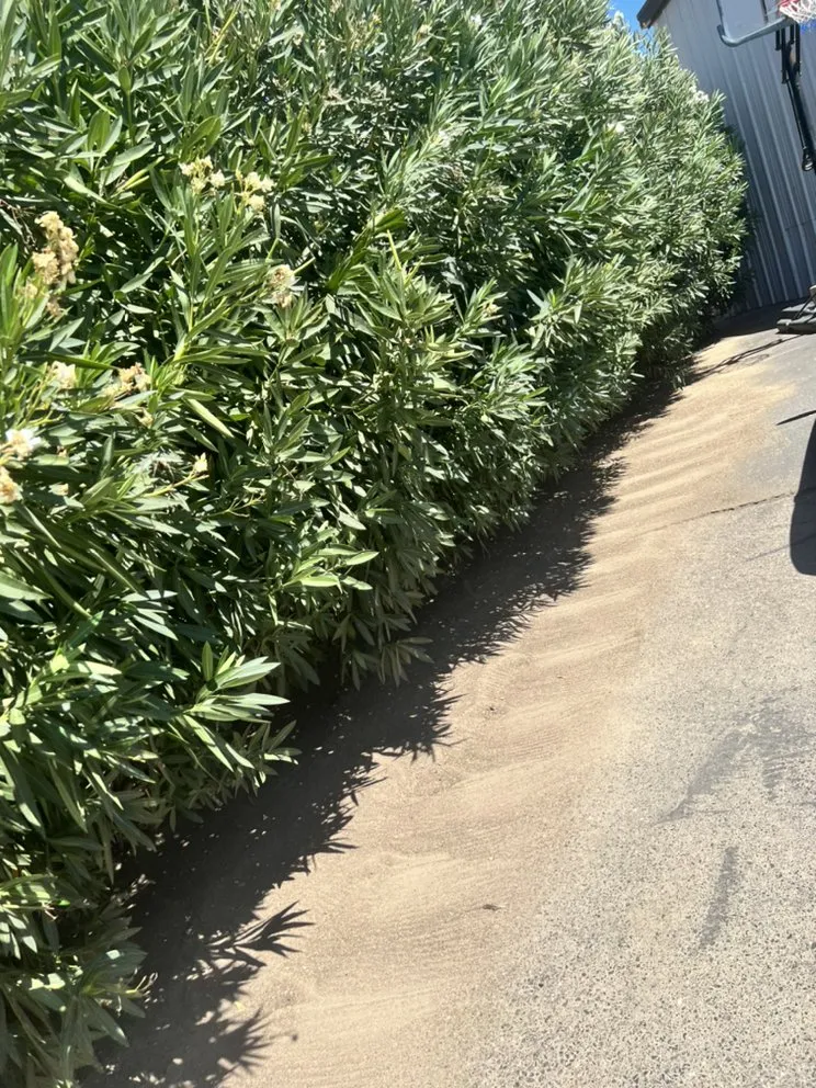 Affordable landscape installation for year-round maintenance across Turlock, CA - S & A Lawn Service