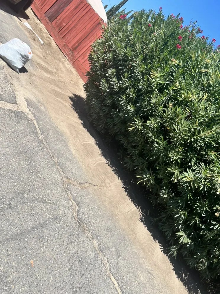 Trusted garden landscaping for outdoor upgrades across Turlock, CA - S & A Lawn Service