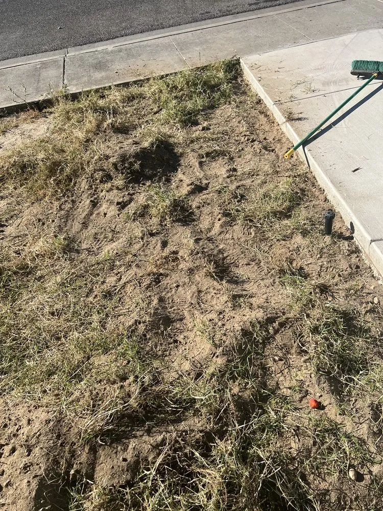 Local outdoor landscaping in Turlock, CA by S & A Lawn Service