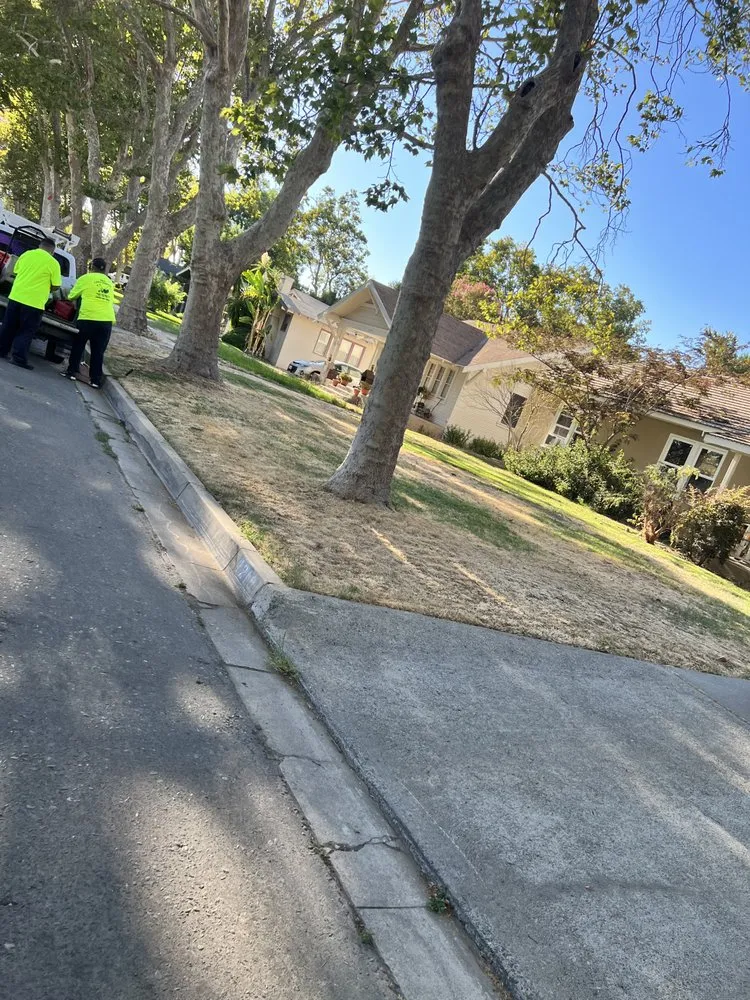 Affordable residential landscaping in Turlock, CA - S & A Lawn Service