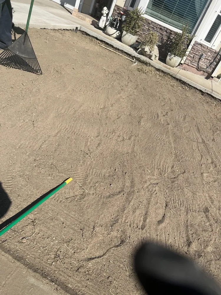 Affordable landscaping services in Turlock, CA by S & A Lawn Service