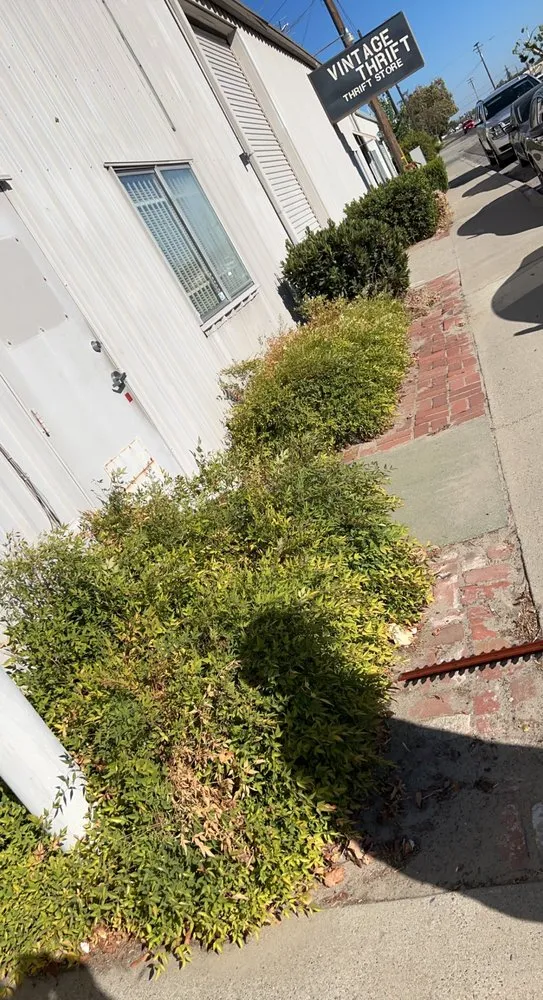 Top-rated outdoor landscaping in Turlock, CA - S & A Lawn Service