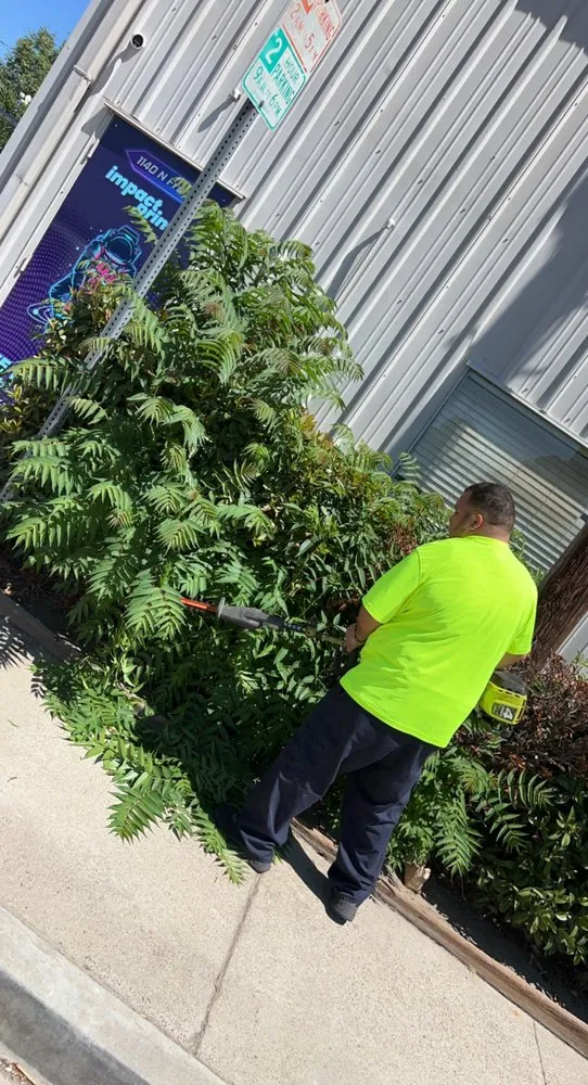 Top-rated residential landscaping experts serving Turlock, CA - S & A Lawn Service