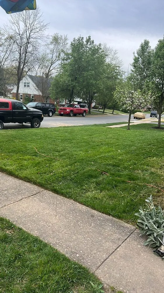 Trusted landscaping services experts serving Joppatowne, MD - S & A Services