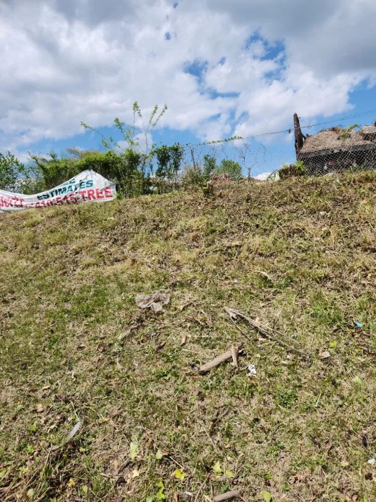 Expert landscaping services experts serving Joppatowne, MD - S & A Services