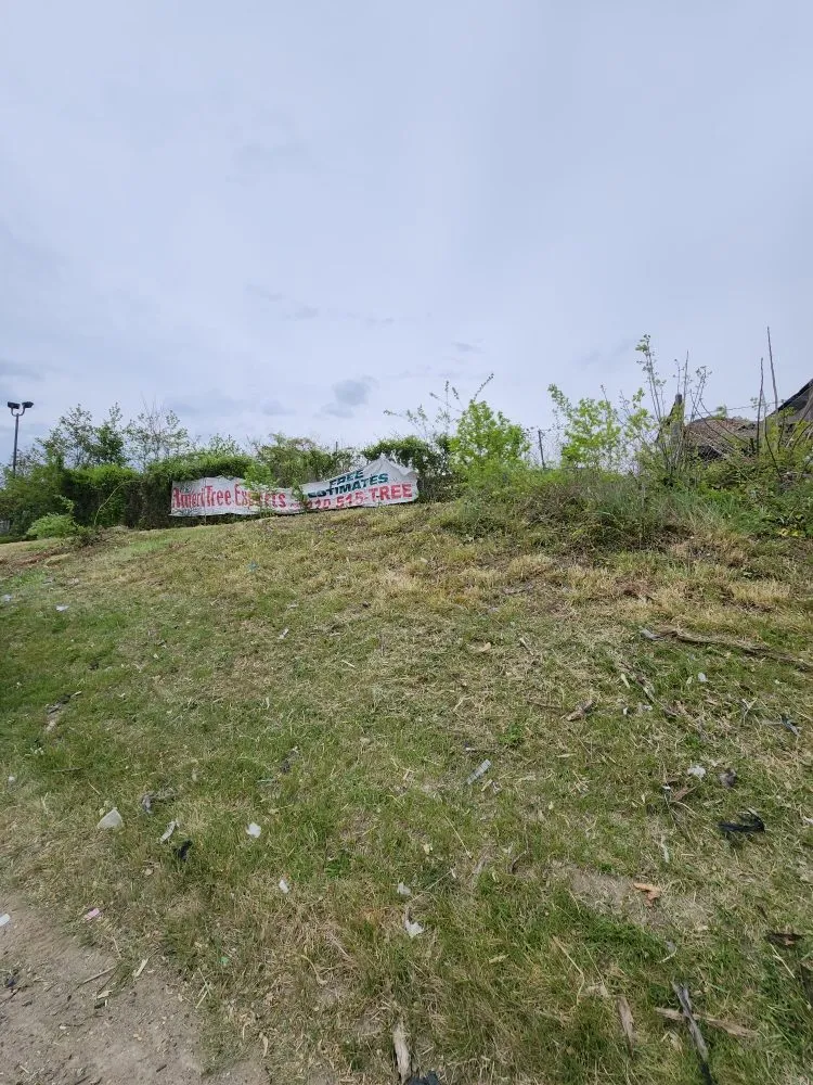 Top-rated residential landscaping for homes across Joppatowne, MD - S & A Services