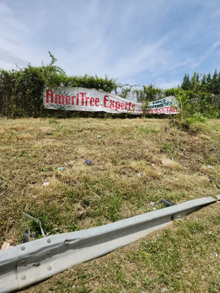 Custom outdoor landscaping for residential properties in Joppatowne, MD by S & A Services