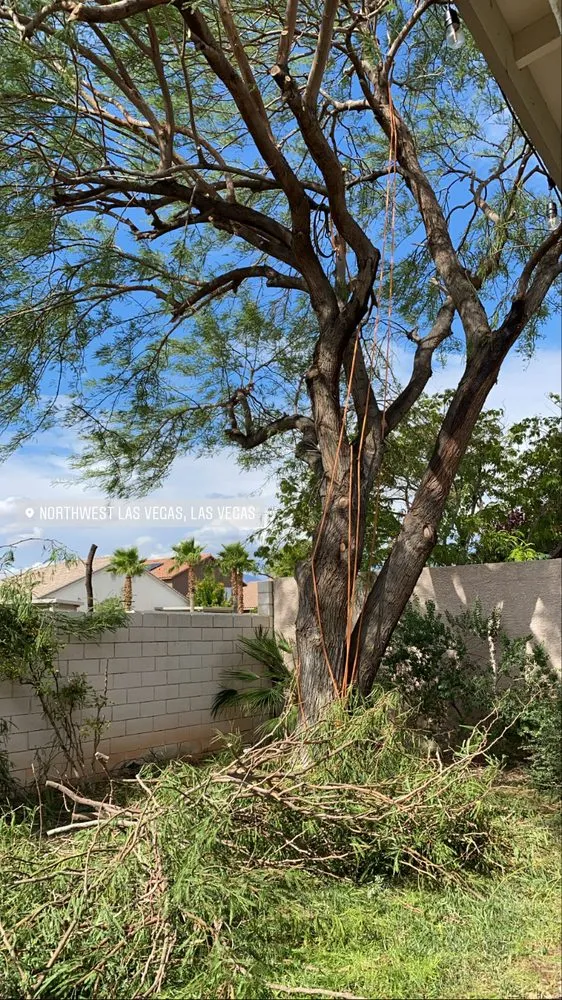 Trusted landscape design in Murrieta, CA - S & B Landscape