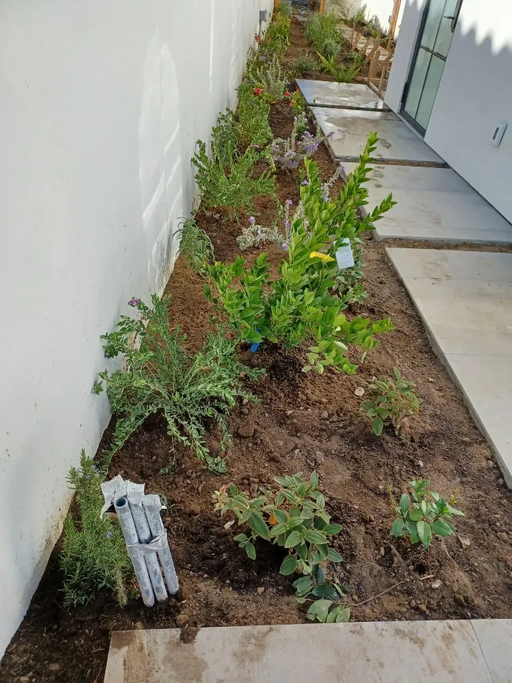 Trusted garden landscaping experts serving Murrieta, CA - S & B Landscape