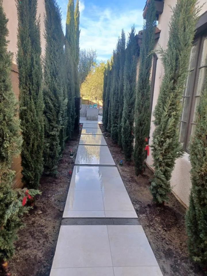 Reliable yard cleanup service in Murrieta, CA by S & B Landscape