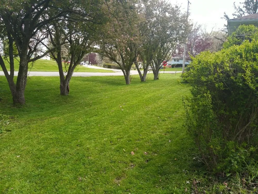 Local lawn care service in Mansfield, OH by S & B Landscaping