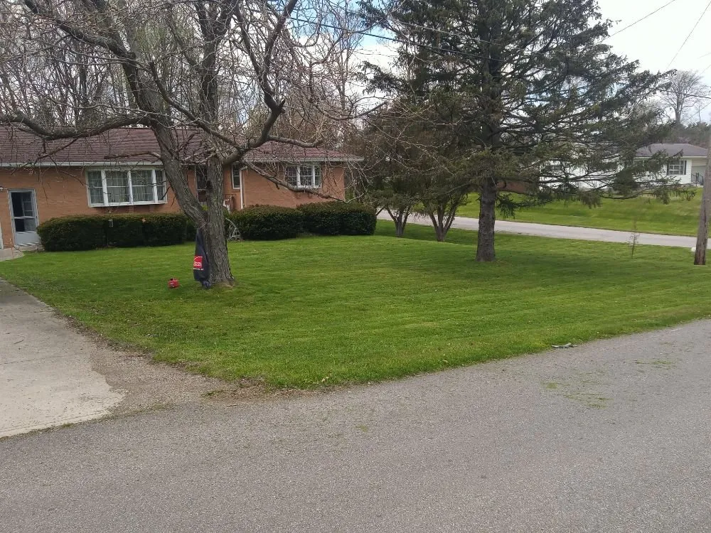 Affordable lawn care service in Mansfield, OH - S & B Landscaping