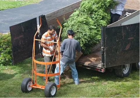 Expert lawn care service for homes across Roseville, MI - S & B Seasonal Services